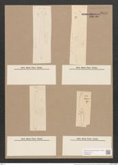 Pleurosigma speciorum W.Sm. (de-Toni-Nr.: Genus 13, Species 1007) Zeichnungen Sammlung Grunow Nr. 2048 (NHMW-BOT-W0368905)